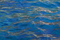 53-San Pietro,28 luglio 2014